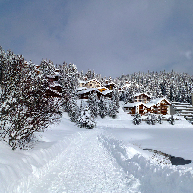 WALKING IN THE SNOW, Arosa