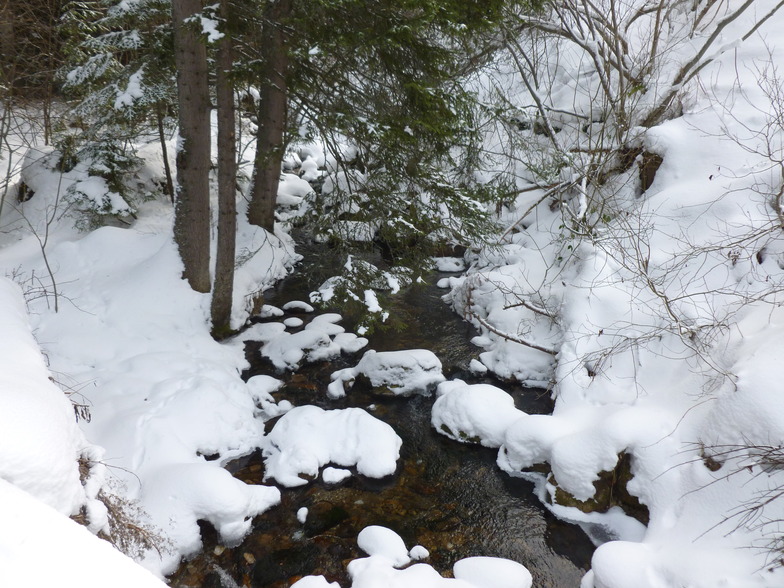 sweet stream forest tour on skinny skis, Borovets