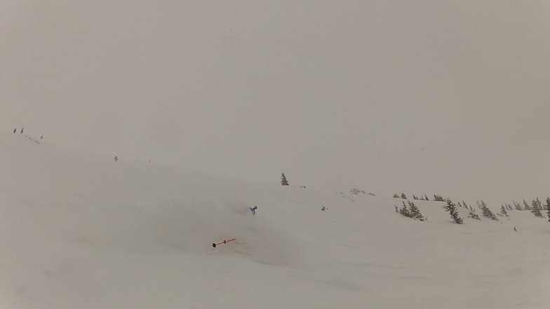 Goat's Eye Freshies, Sunshine Village