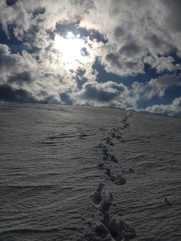 On the way to Zheleznitsa, Vitosha