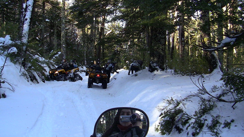 Sendero Andes, Las Araucarias