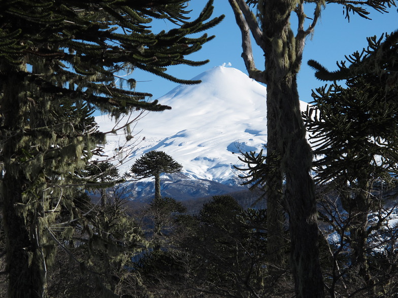 Villarrica Volcanoe, www.lobosadventure.com, Villarrica-Pucon