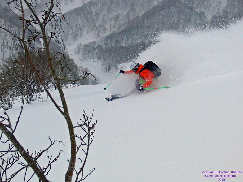 Cortina BC, Hakuba Cortina Kokusai