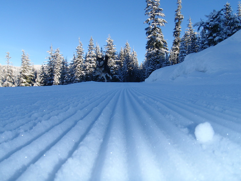 Snow Fun, Whistler Olympic Park