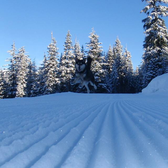 Snow Fun, Whistler Olympic Park