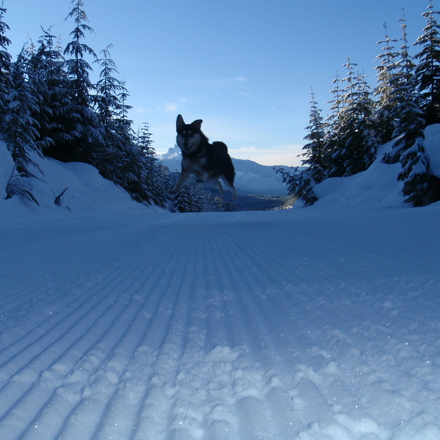 Attack, Whistler Olympic Park