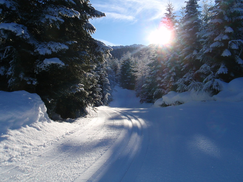 Morning Sun, Whistler Olympic Park