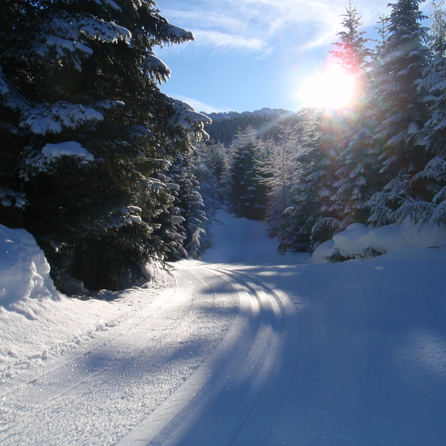 Morning Sun, Whistler Olympic Park