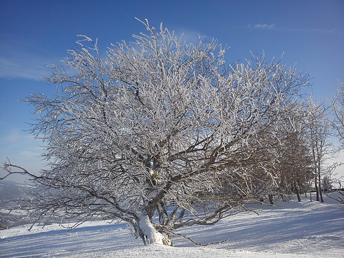 Bischofsheim an der Rhon Ski Resort Guide | Snow-Forecast.com