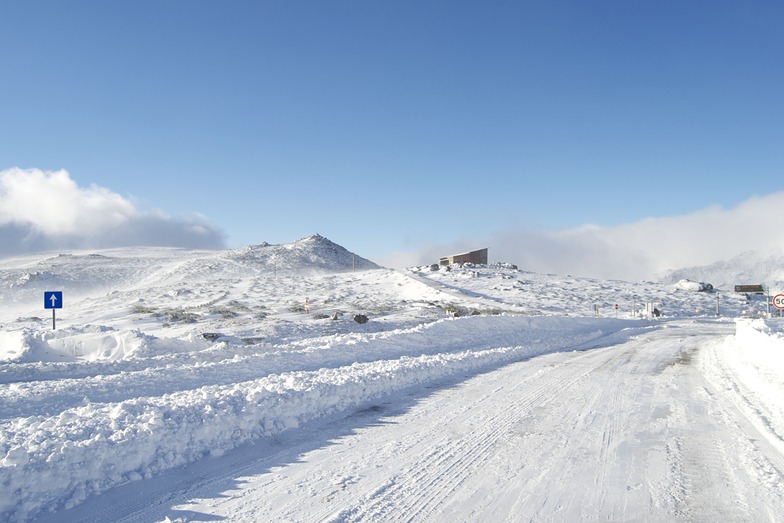 Piornos, Serra da Estrela