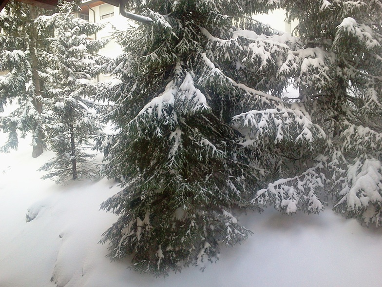 Powder day, Leysin