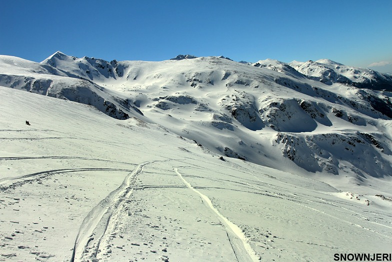 Wide Perrocka, Brezovica