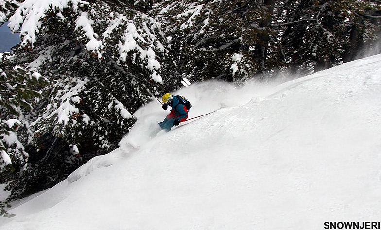 Taulant Buxhovi, Brezovica