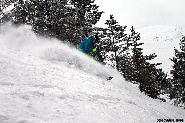 Lone Komoni, Brezovica