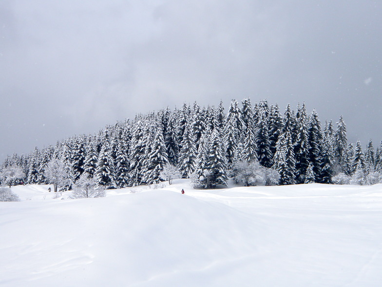 Altiport area Meribel, Méribel