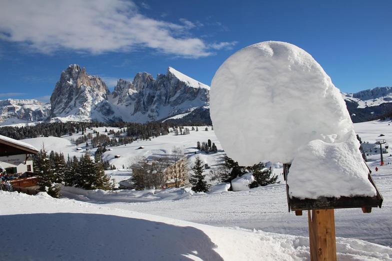 Panoramic view from Alpe di Siusi towards Sassolungo, Val Gardena