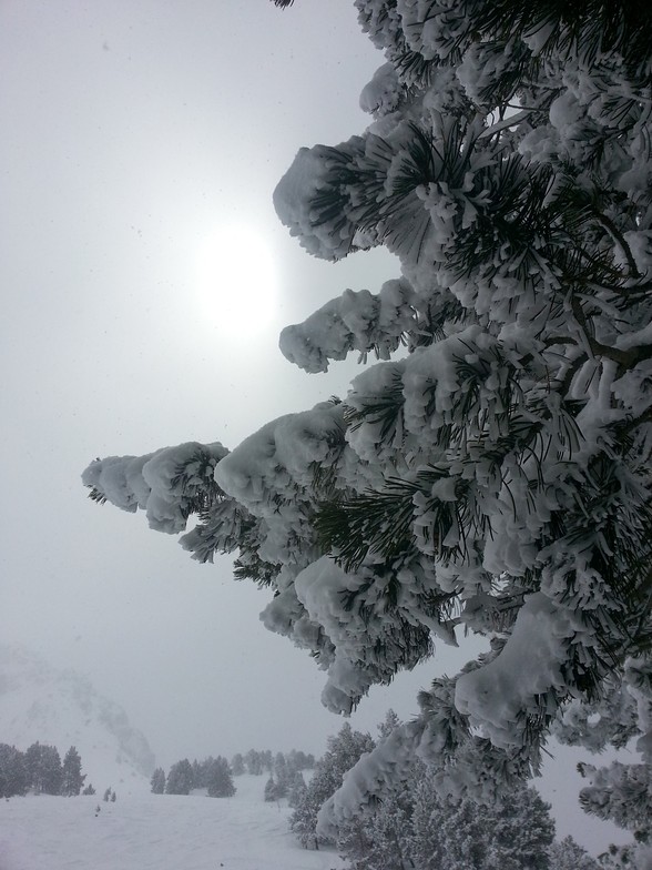 Grandvalira-Grau Roig