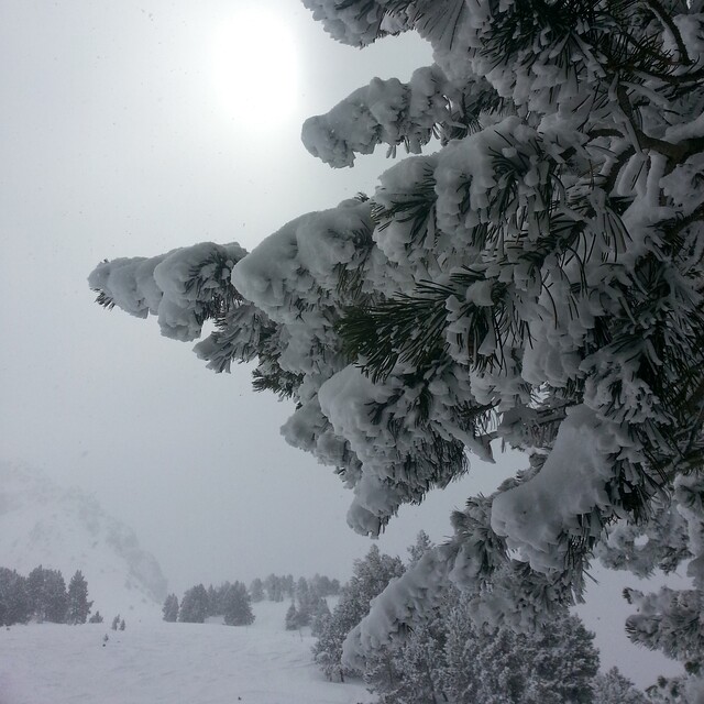 Grandvalira-Grau Roig