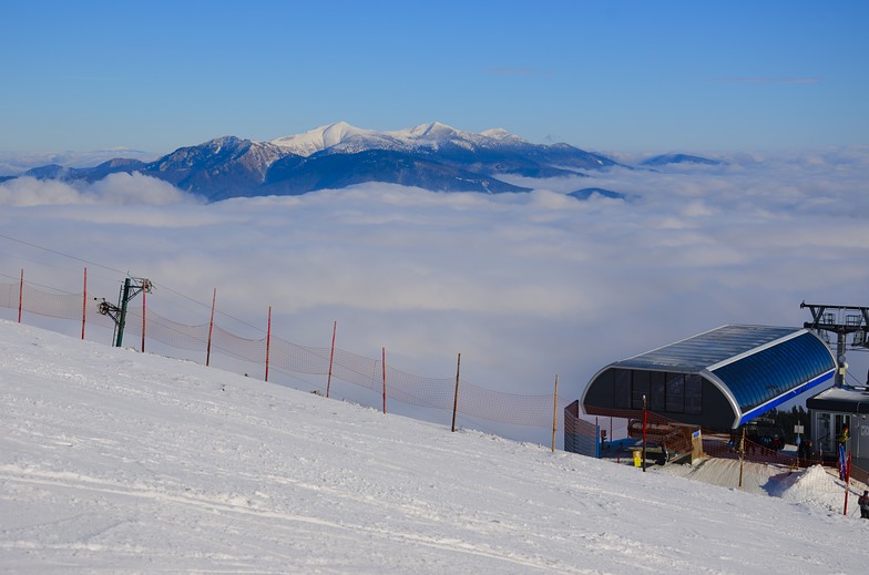 january inversion, Martinky