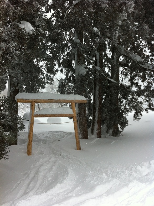 this is why we ski in Japan, Nozawa Onsen