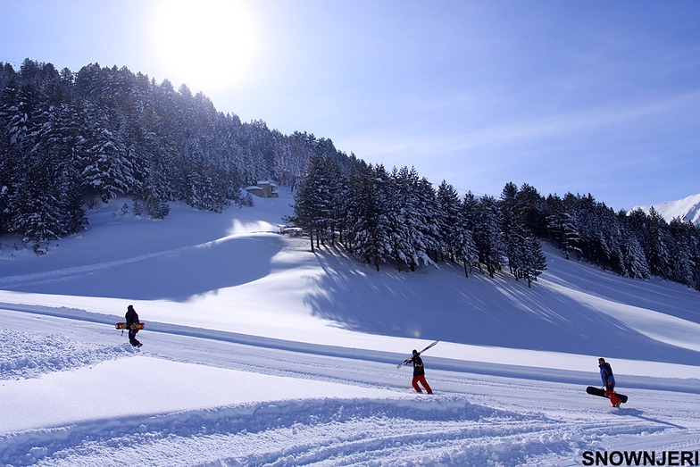 Pure, Brezovica