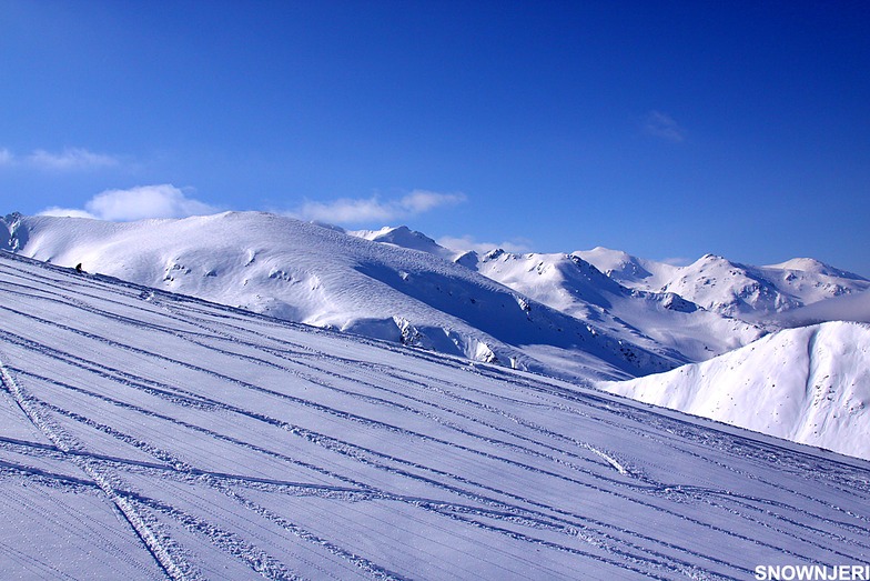 Blue day, Brezovica