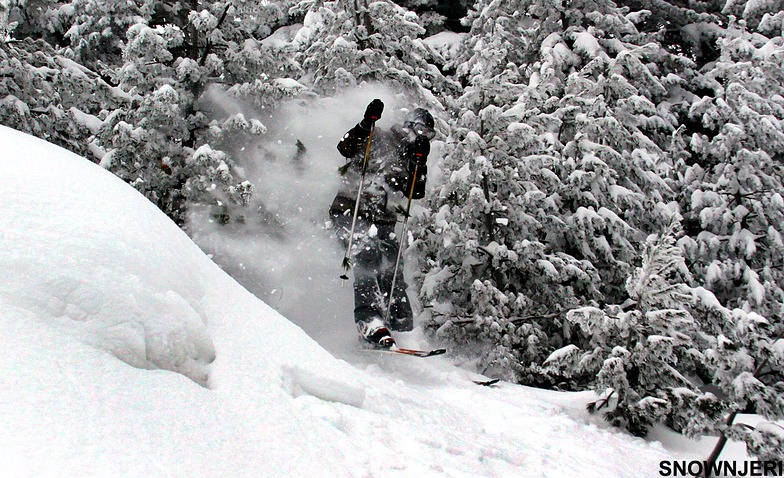 Brutal exit, Brezovica