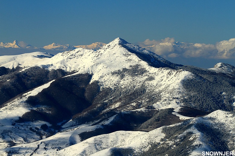 Paramount Pashallore, Brezovica