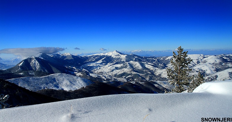 The white horizon, Brezovica