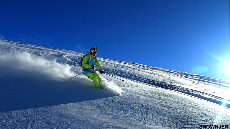 Flashy Bejta, Brezovica