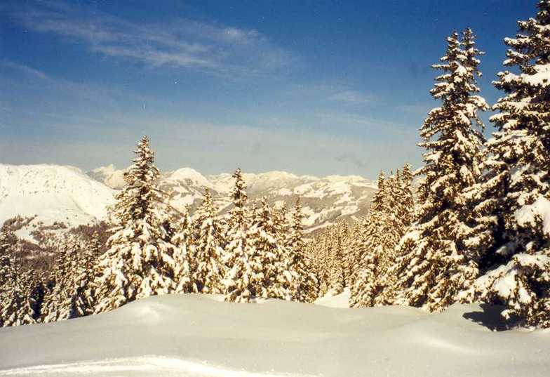 Skisafari Kitzbühel