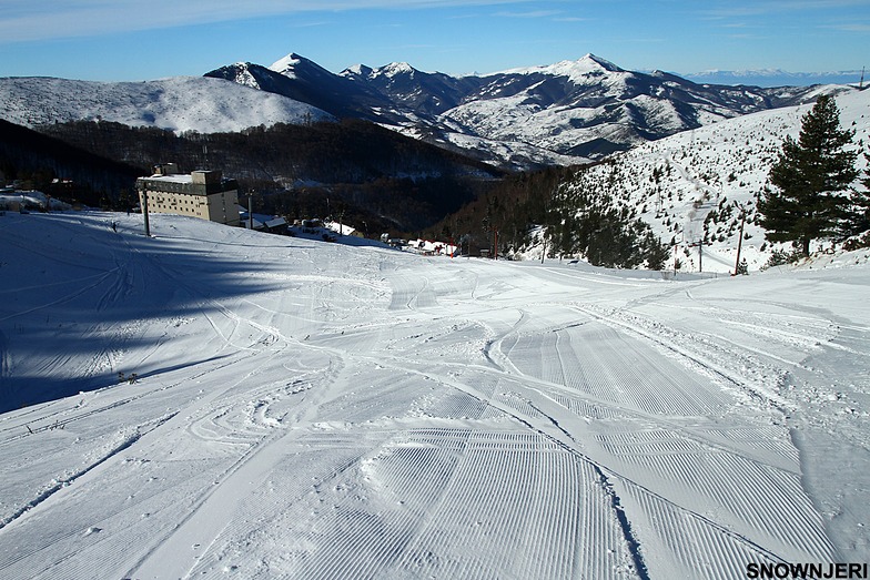 Groomed, Brezovica