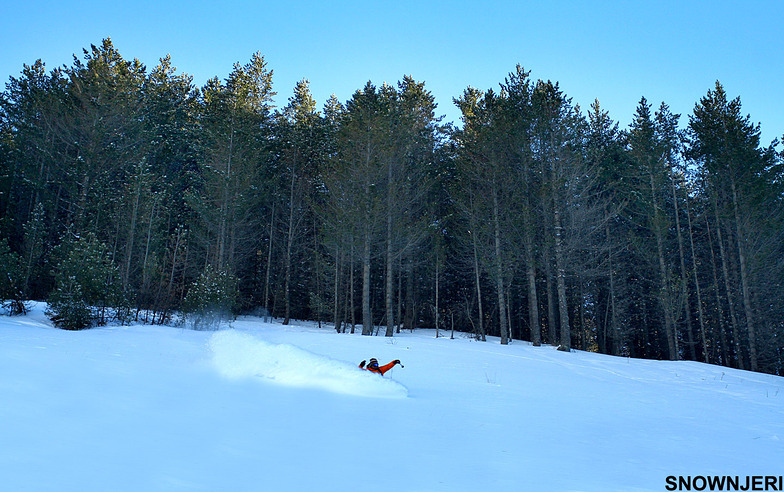 Forest exit, Brezovica