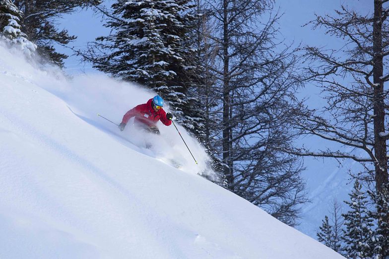 Lake Louise Ski Resort Powder Day