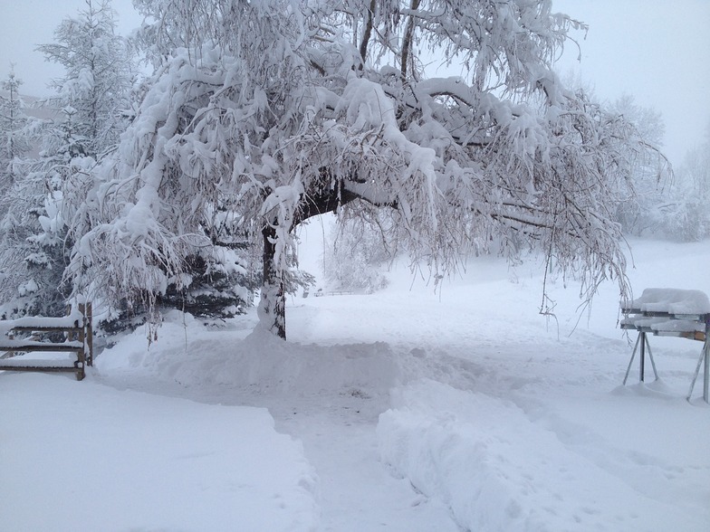 Fresh Snow, Le Corbier (Les Sybelles)