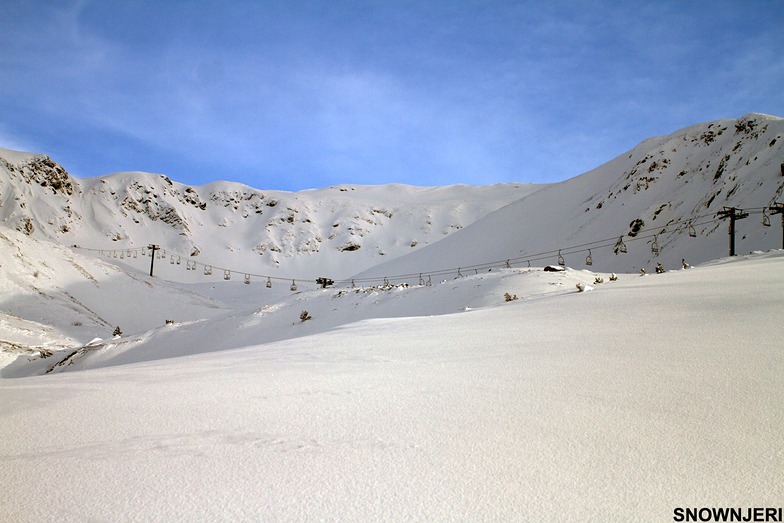 Smooth Tepsiya, Brezovica