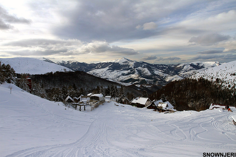 Brezovica