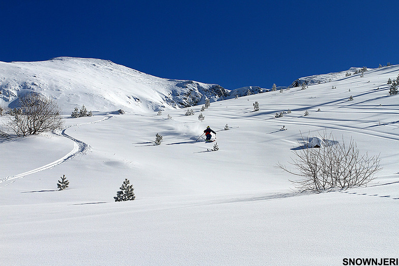 On the wild, Brezovica