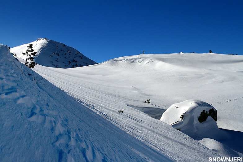 Tepsiya Section, Brezovica