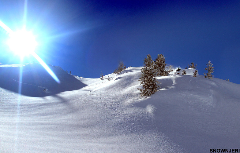 Lonely Bakalli, Brezovica