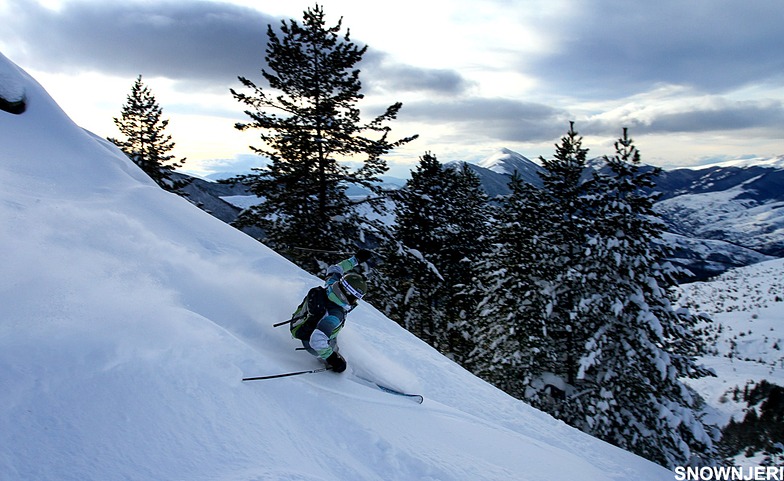 Gaz Avdylis forest ride, Brezovica