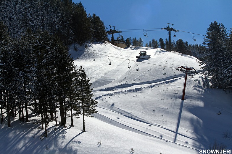 Grooming, Brezovica