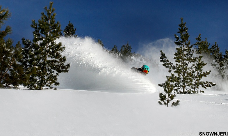 Powder Meritoni, Brezovica