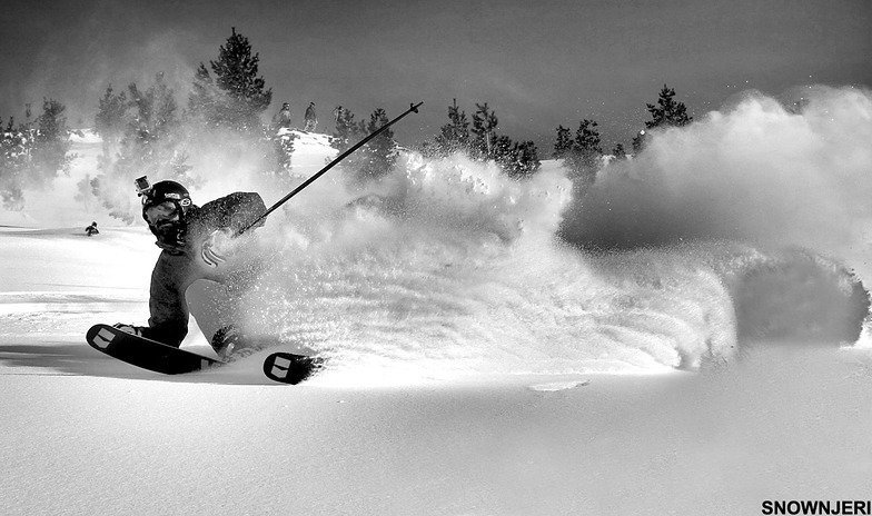 Monochromed, Brezovica