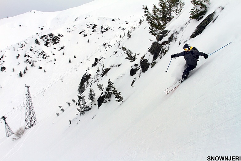 Ben Njeri, Brezovica