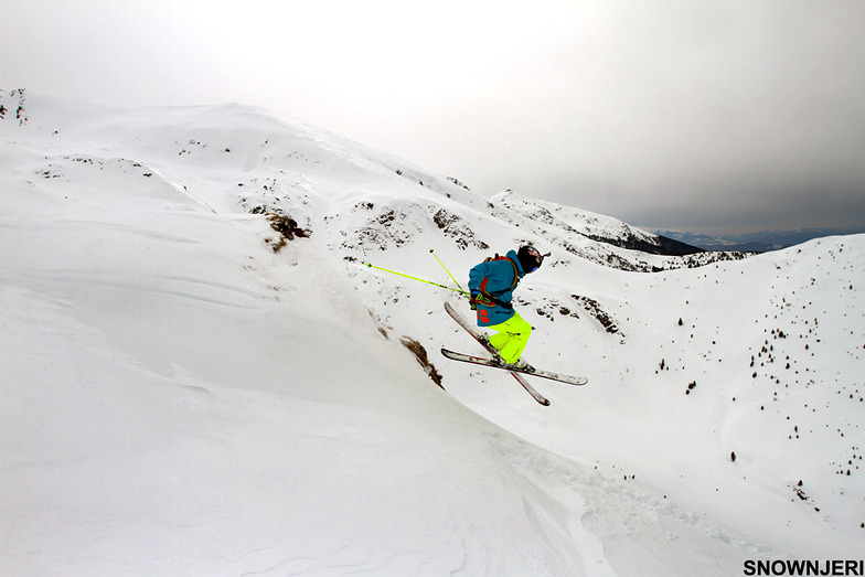 Adonis, Brezovica