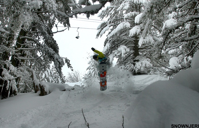 Flying Bordoniqi, Brezovica