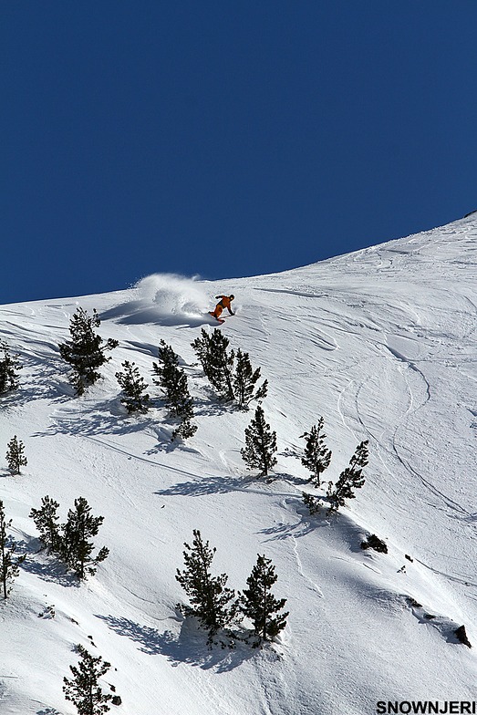 Konzerva ride, Brezovica