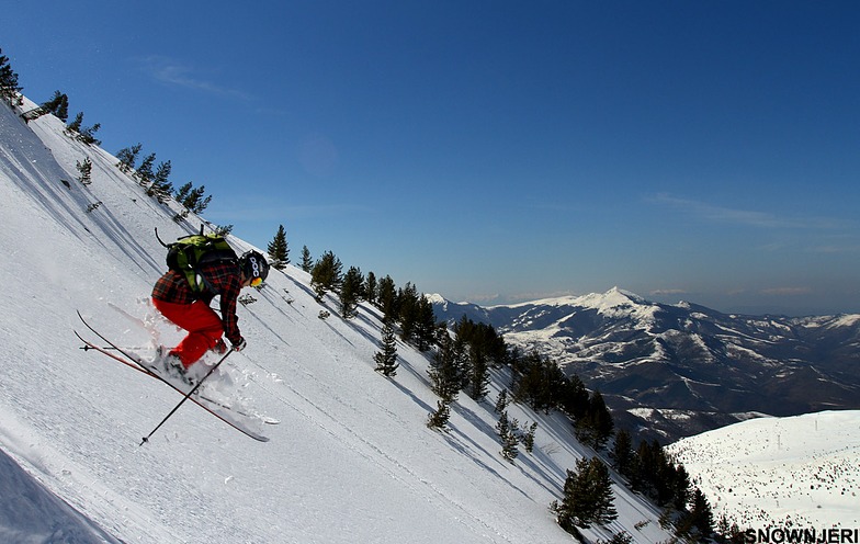 Flying Noli, Brezovica