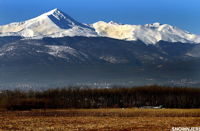 High White, Brezovica